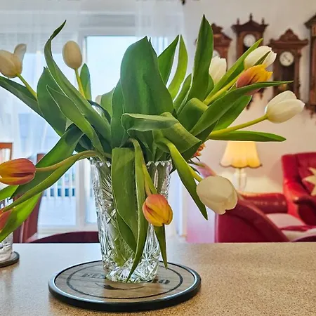 Aria Superior Apartment, Seaview & Wellness Portorose