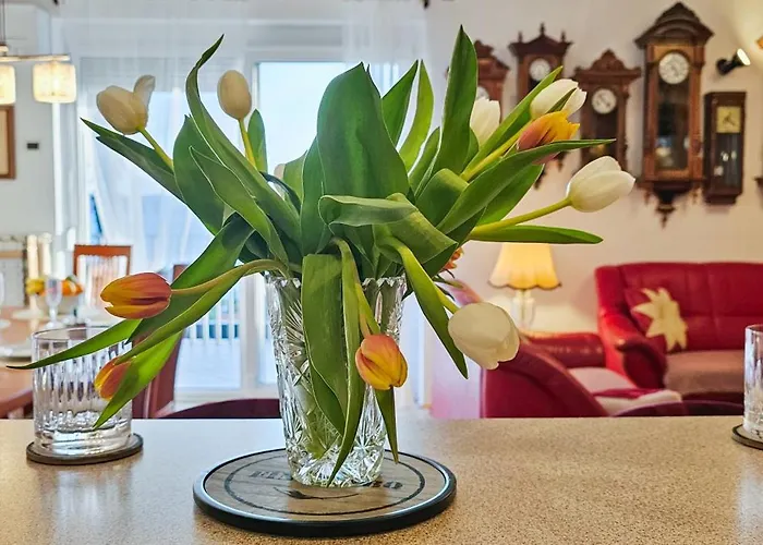 Aria Superior Apartment, Seaview & Wellness ポルトローシュ